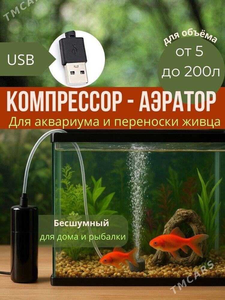 howa berýan - Türkmenabat - img 1