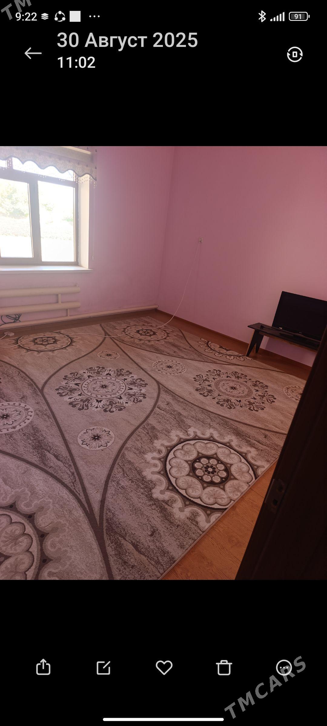 jay - Багир - img 1