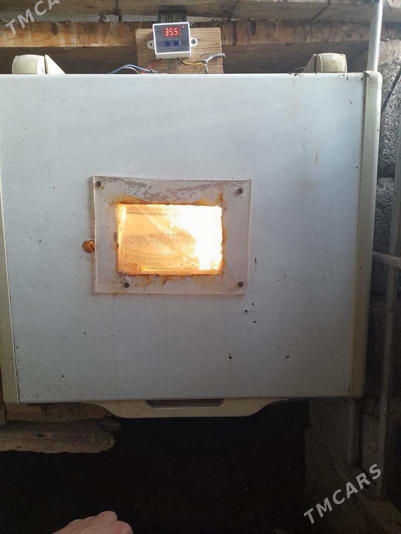 enkubator - Ашхабад - img 1