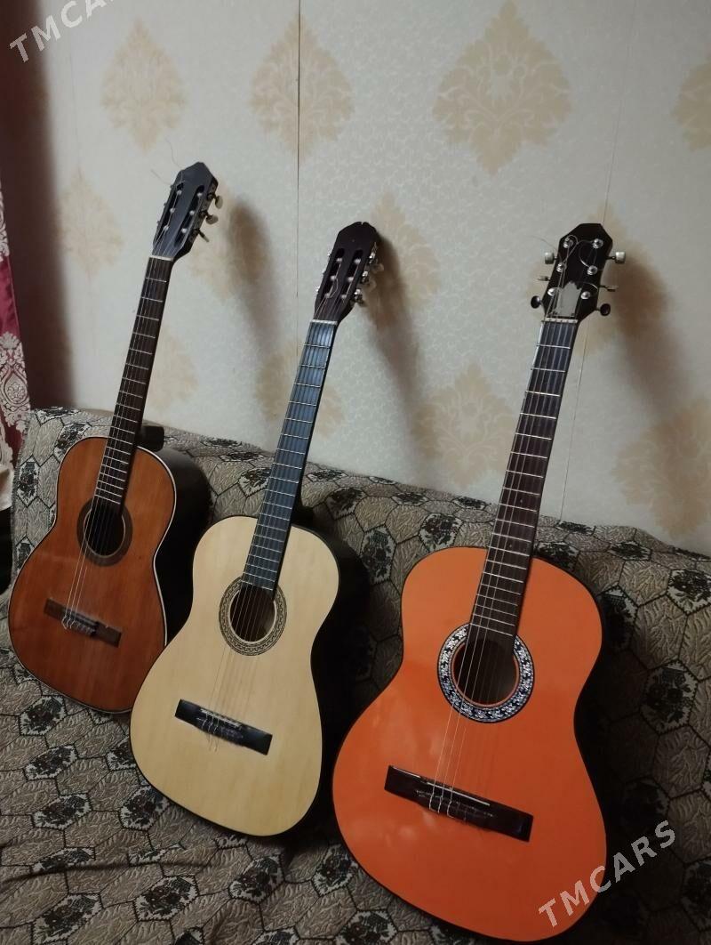 gitara - Туркменабат - img 1
