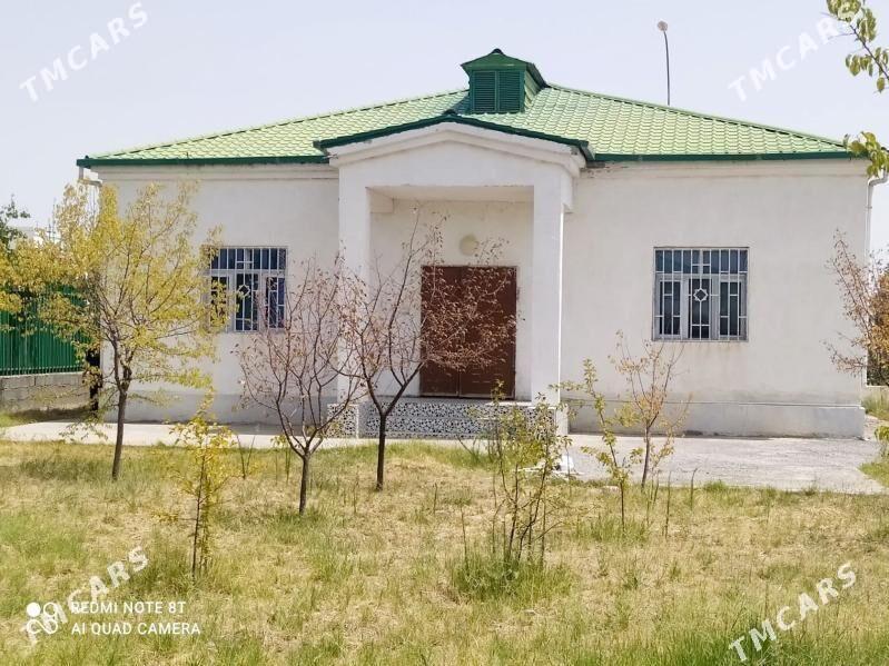 Täze zaman 1 tapgyr - Тязе заман - img 1