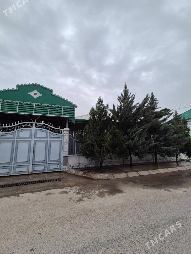 Anew plan - Änew - img 1