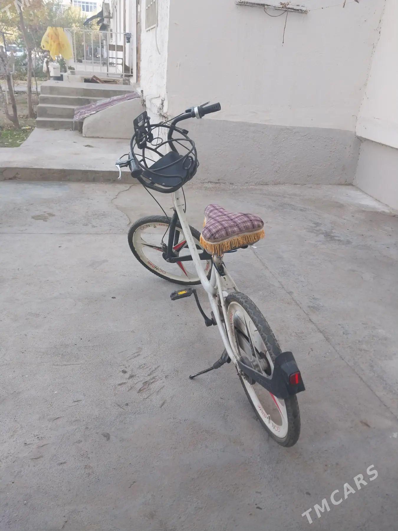 tigir - Büzmeýin GRES - img 1