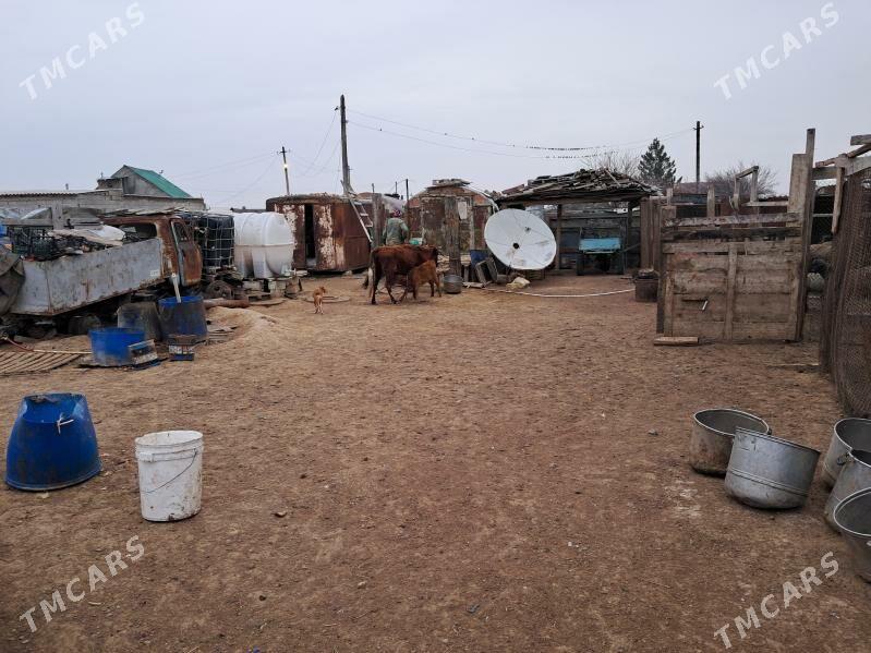 satlyk daca - Туркменбаши - img 1