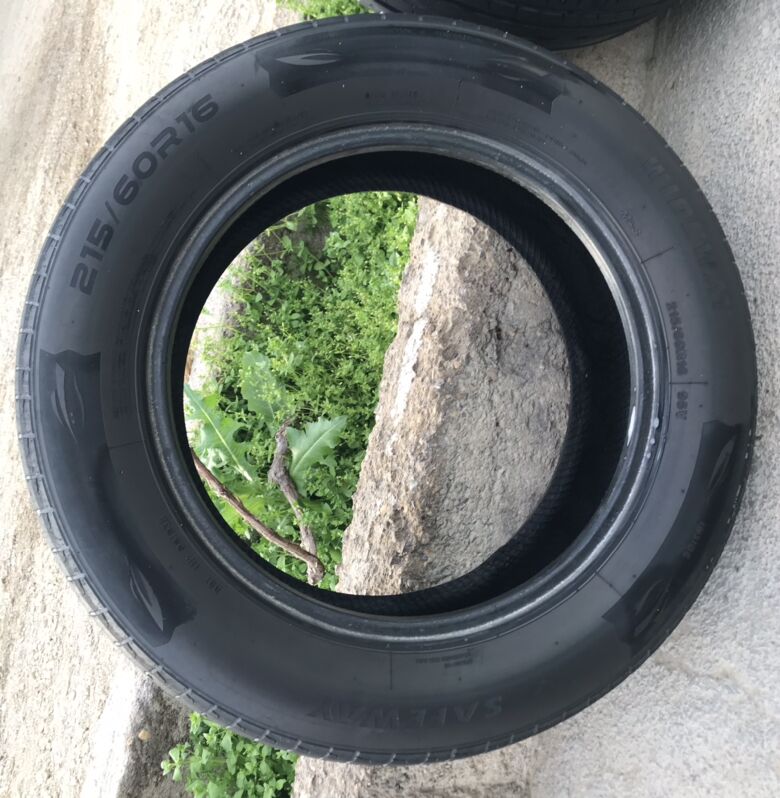 Teker 100 TMT - Bagyr - img 1