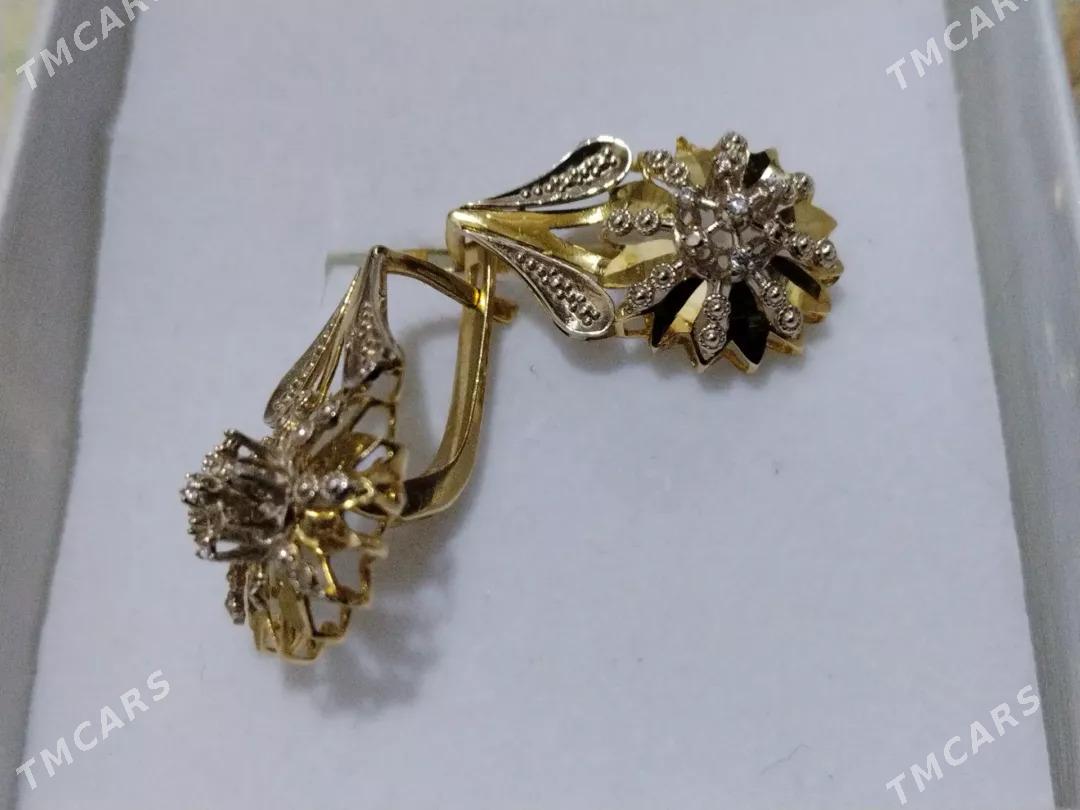 gyzyl gulakhalka - Aşgabat - img 1