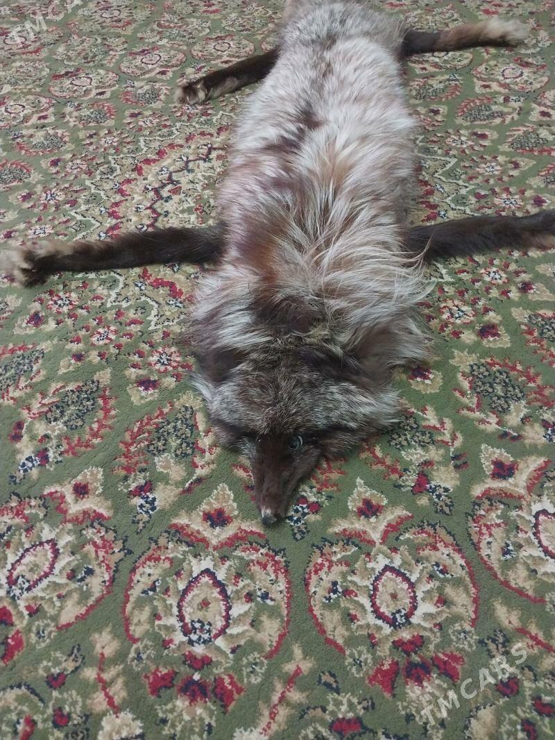 ЛИСА ДЛЯ КРОСАТЫ - Bagyr - img 1