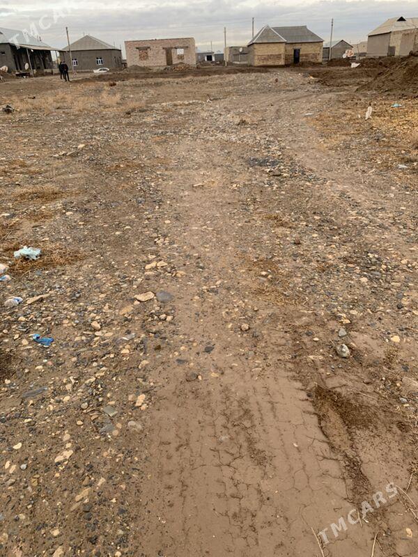 bos yer - Tejen - img 1