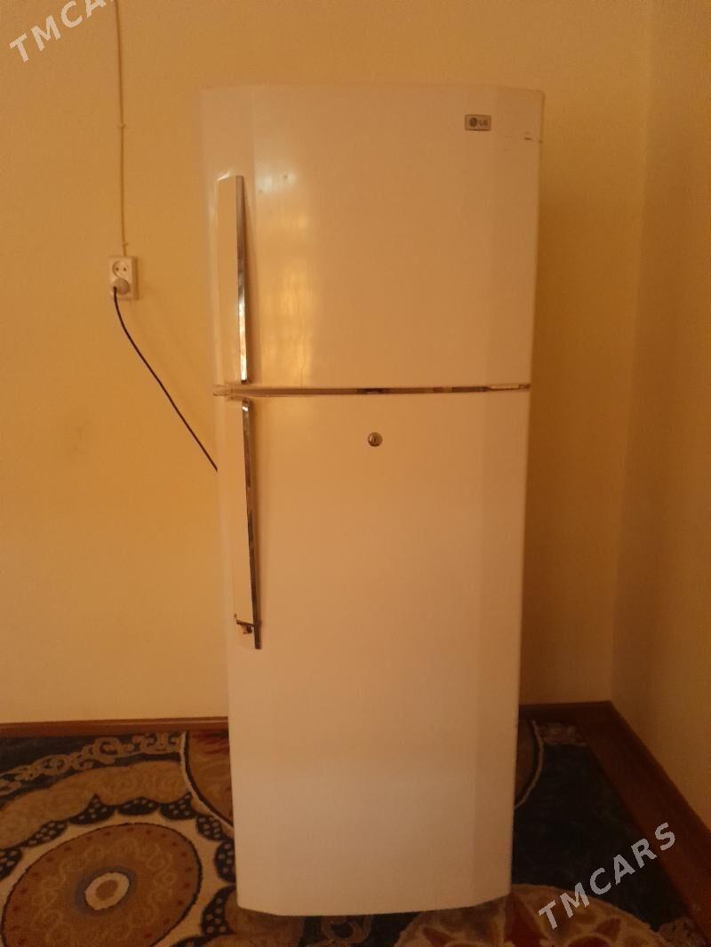 haladynlyk - Büzmeýin - img 1