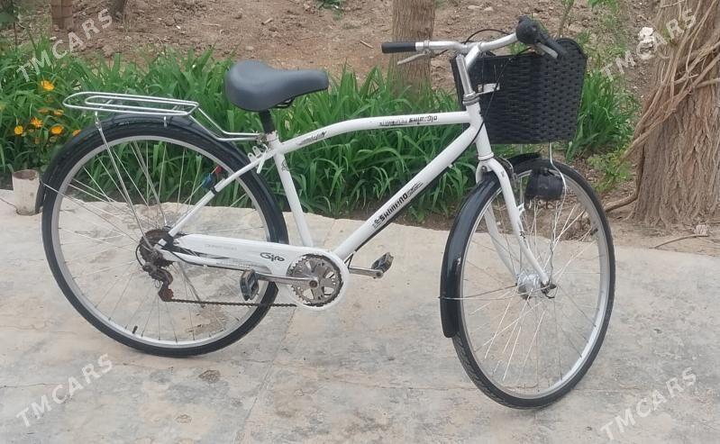 welsepid - Tejen - img 1