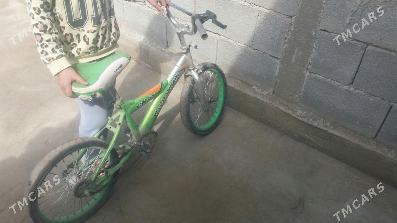 Çaga Tigirleri - Бузмеин - img 1