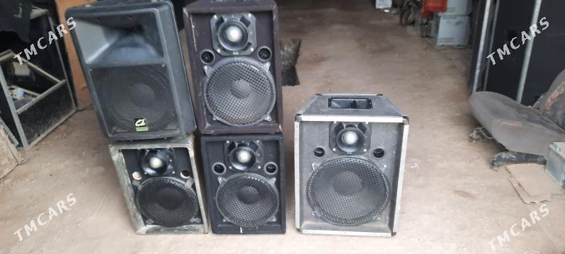 Adi toy kalonka - Дашогуз - img 1