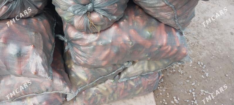 kasir - Ruhabat (90-njy razýezd) - img 1