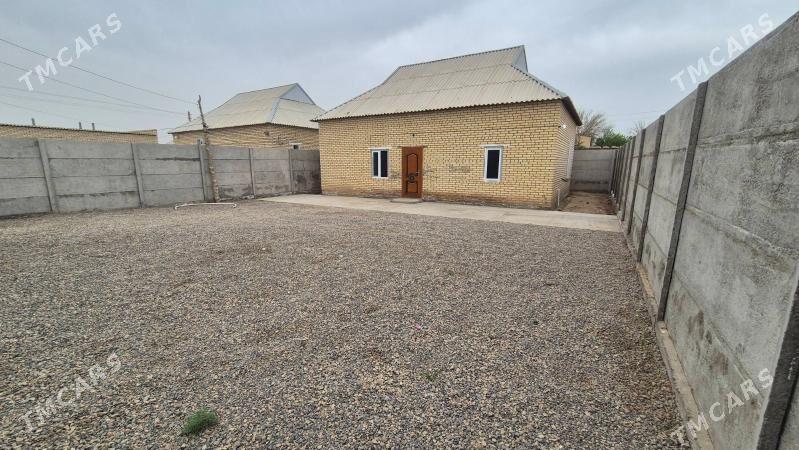 Satlyk jay - Mary - img 1