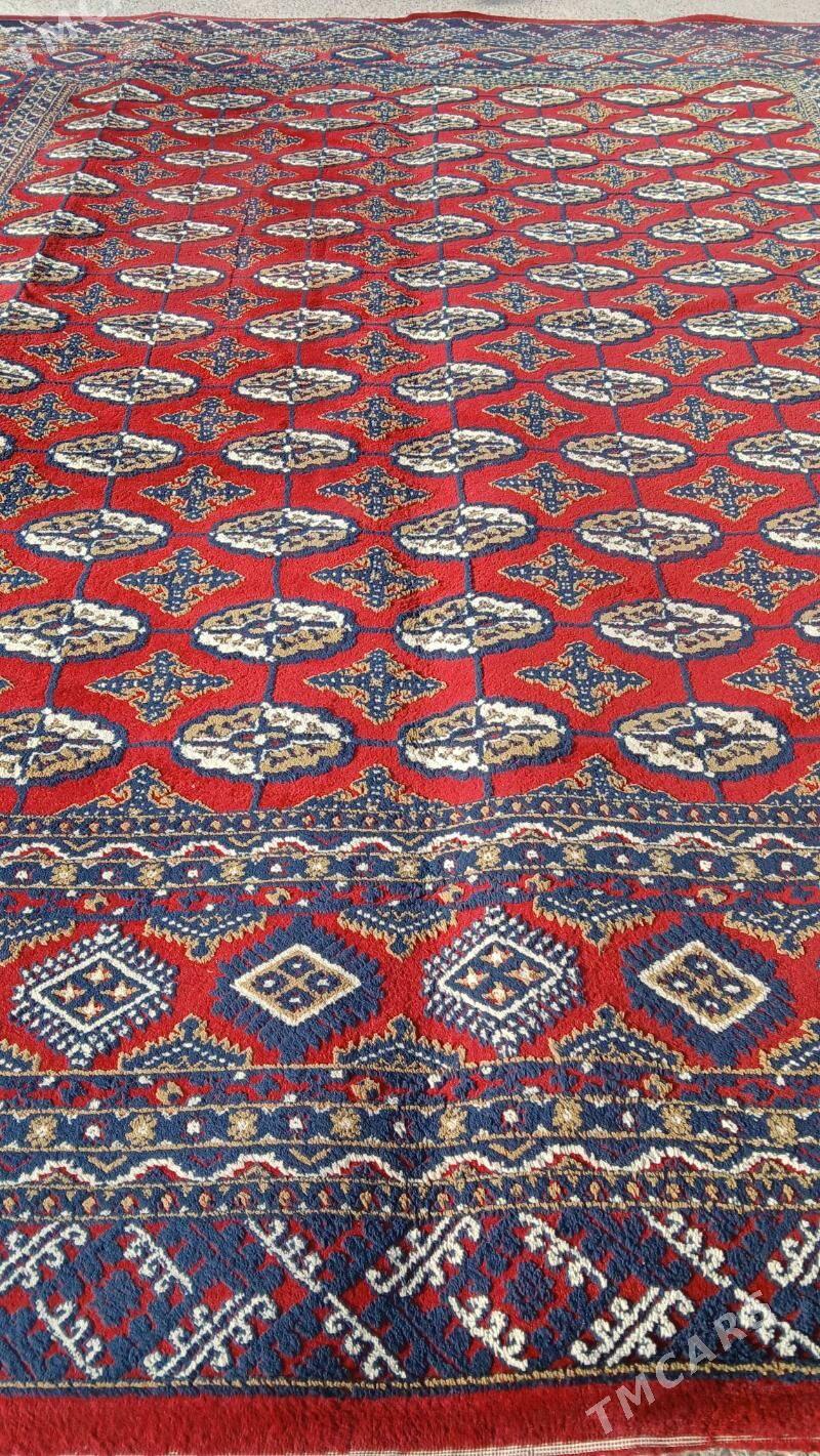 haly - Ашхабад - img 1