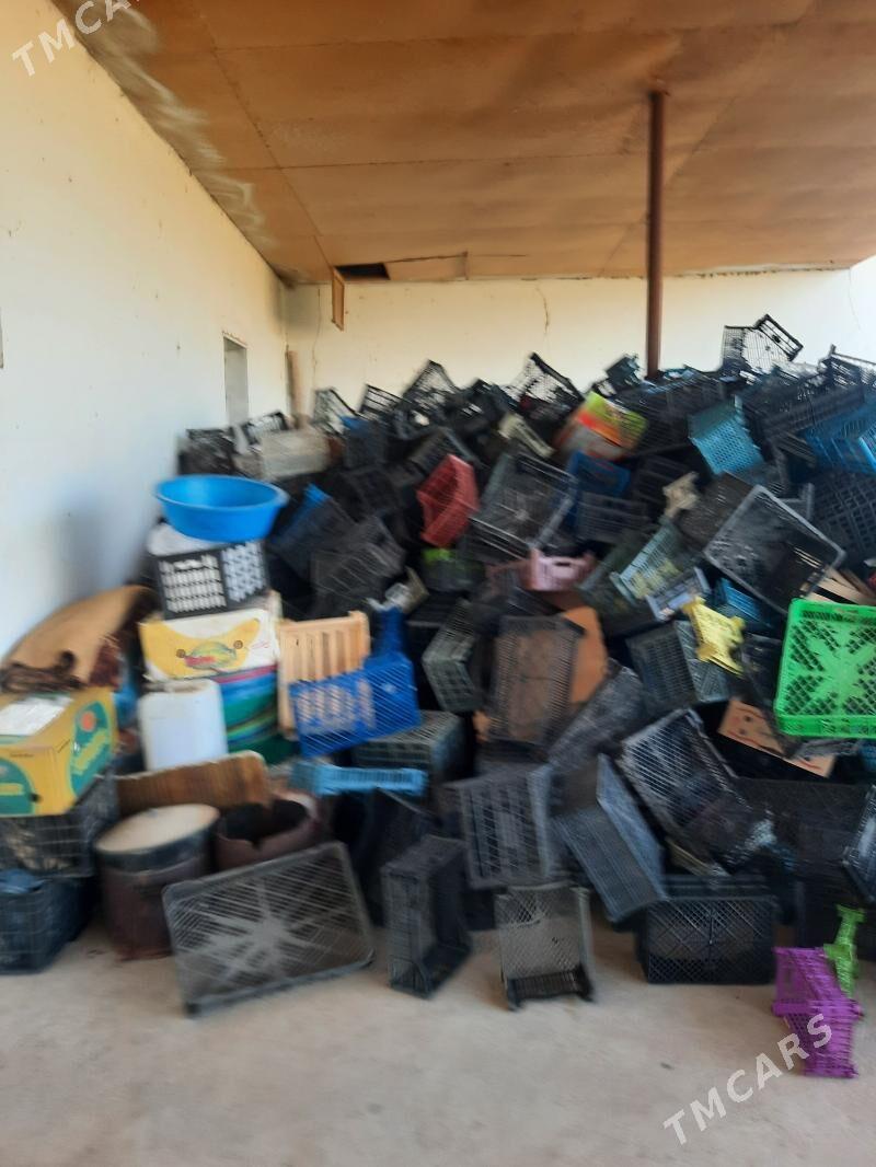 Adi Alma setka - Daşoguz - img 1