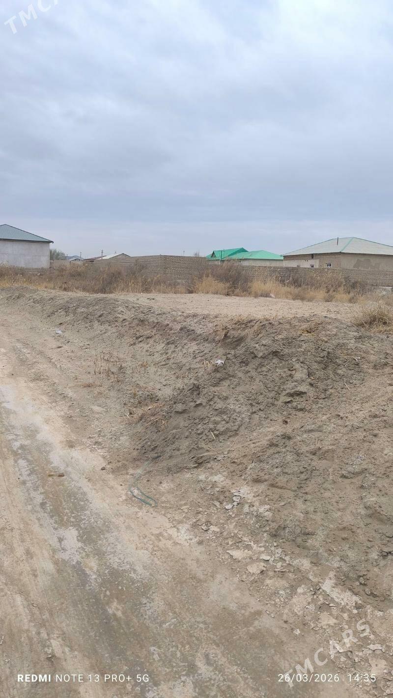 mellek ýer - Şabat etr. - img 1