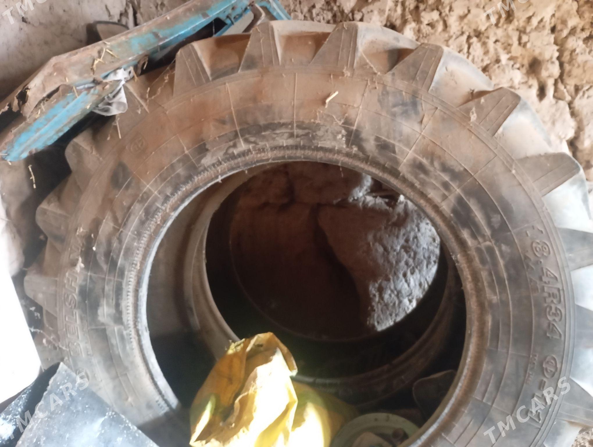 MTZ 80 1993 - 70 000 TMT - Gurbansoltan Eje - img 1