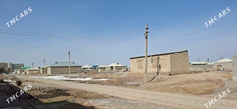 satlyk jay - Tejen - img 1