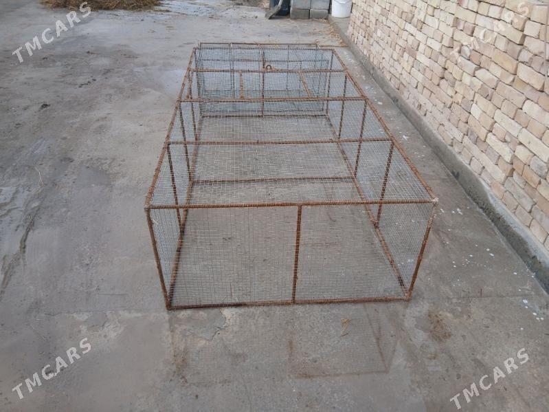 juje ketek - Türkmenabat - img 1