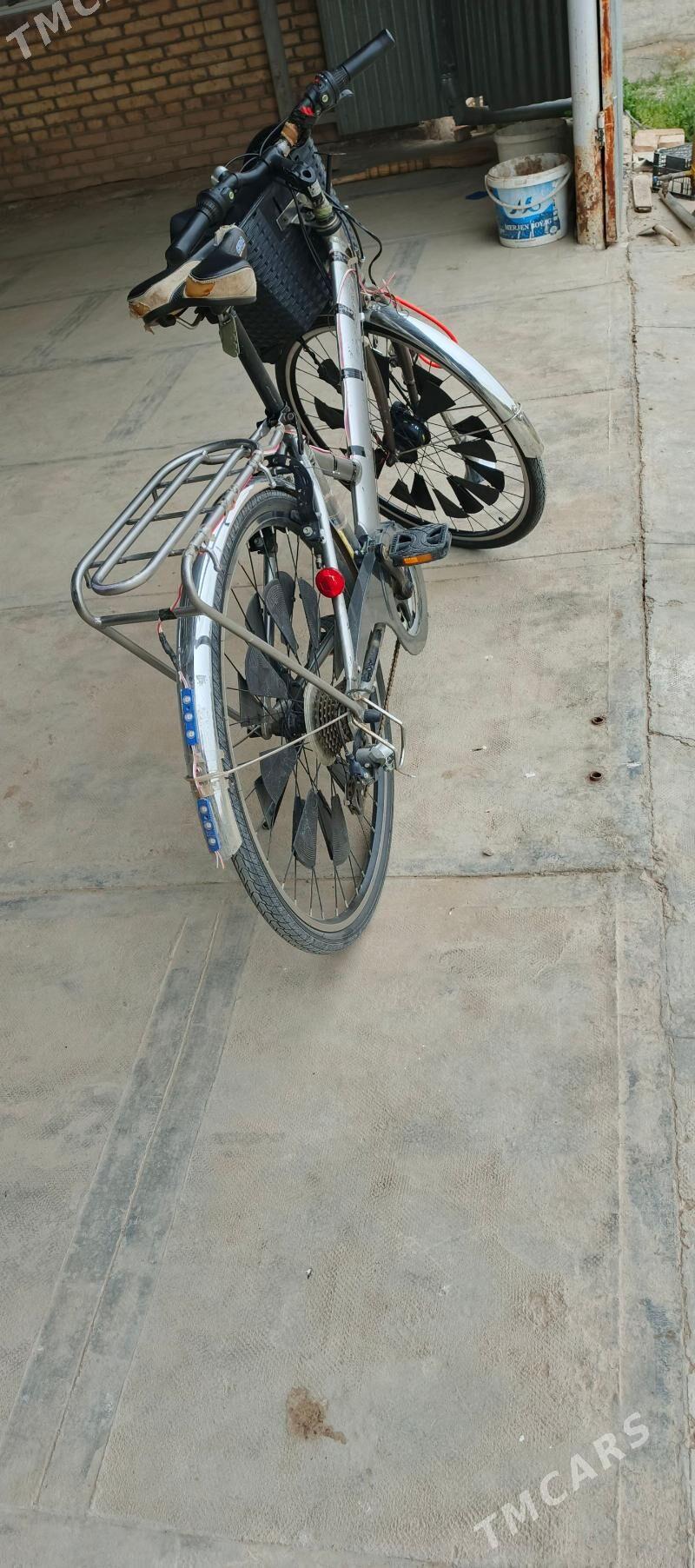 weloseped - Mary - img 1