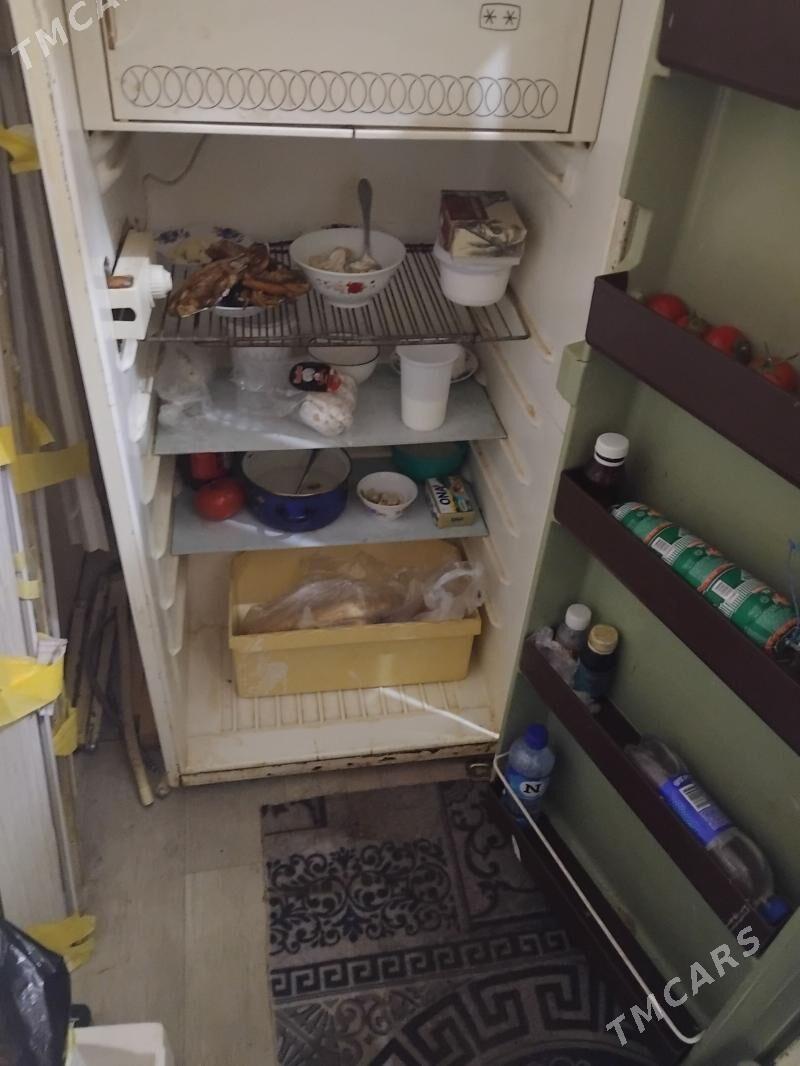 холаделник - Туркменабат - img 1