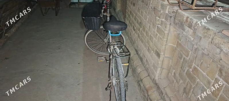 welosped - Mary - img 1