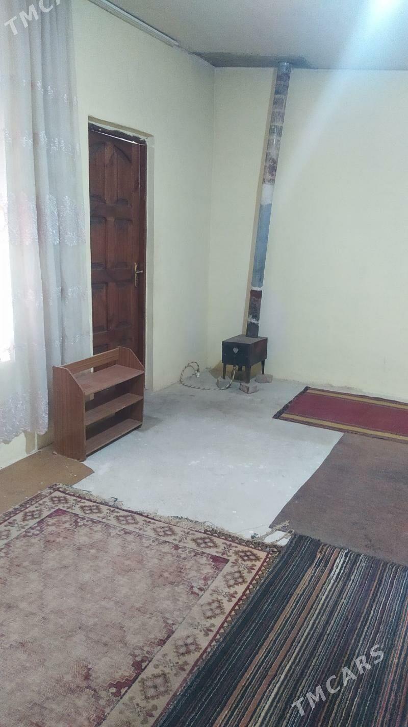 kw alya - Gurtly - img 1