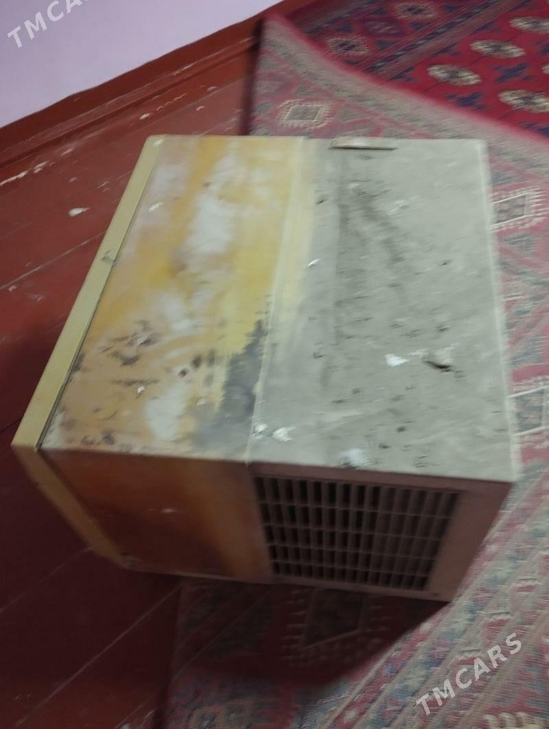 kondisaner - Köneürgenç - img 1