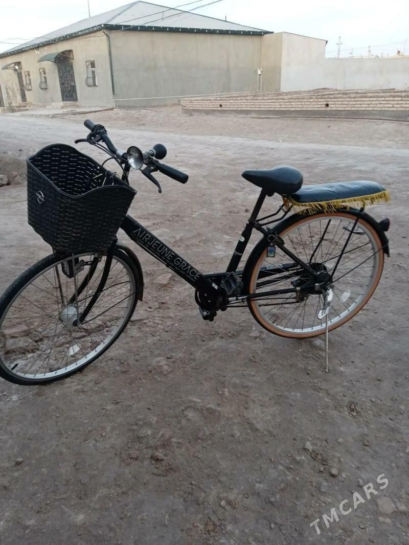 26 lyk tigir - Гурбансолтан Едже - img 1