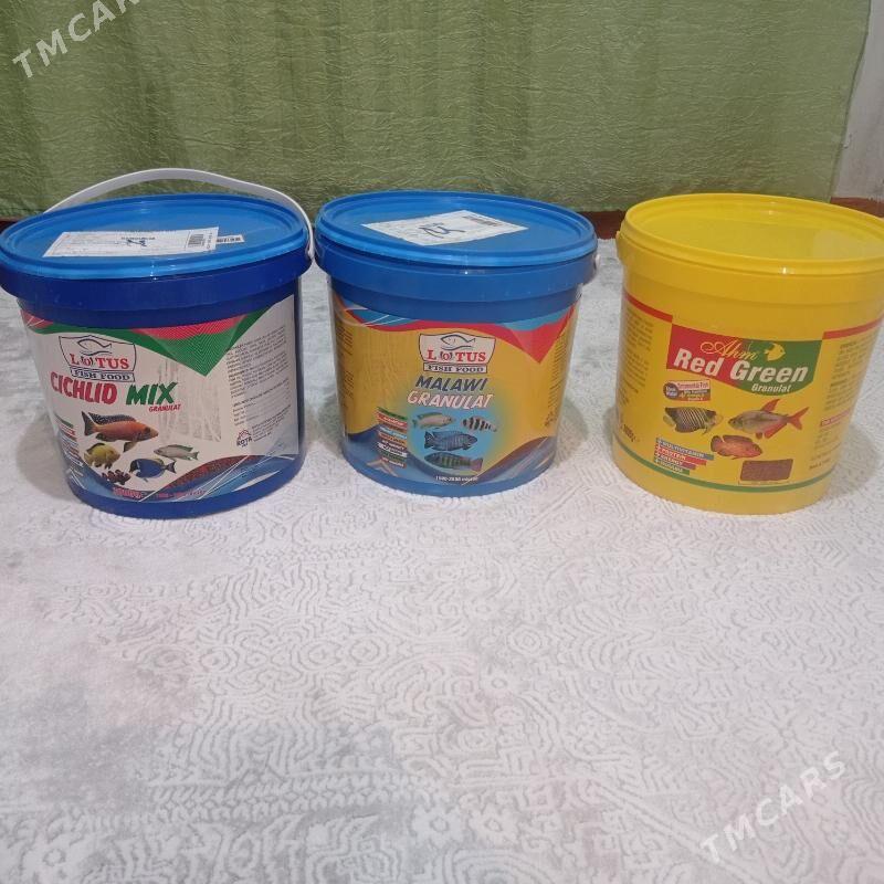 корм для рыба - 4 mkr - img 1