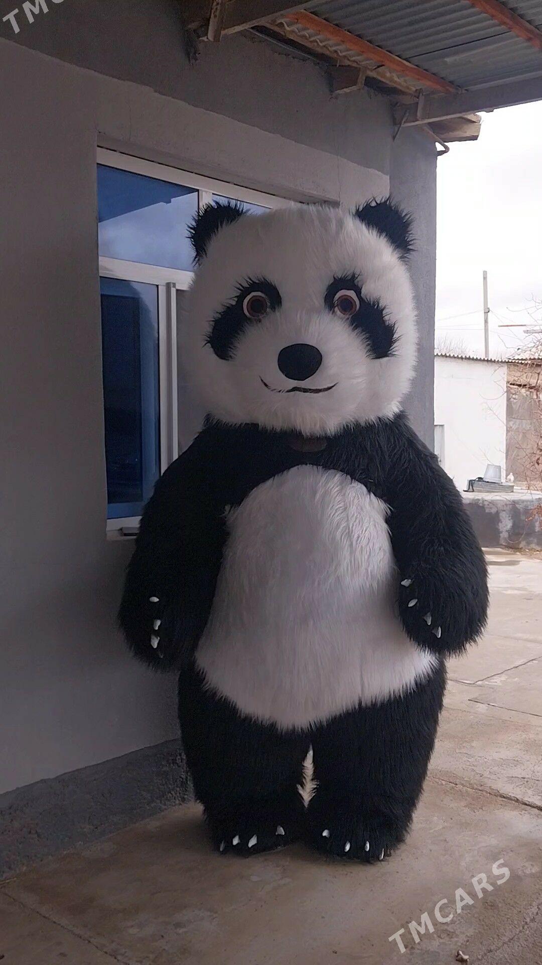 Mişka - Tejen - img 1