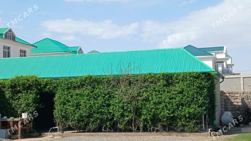 Änew magtymguly 16-sotyk - Änew - img 1