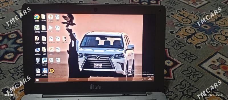 Zed Netbuk - Mary - img 1