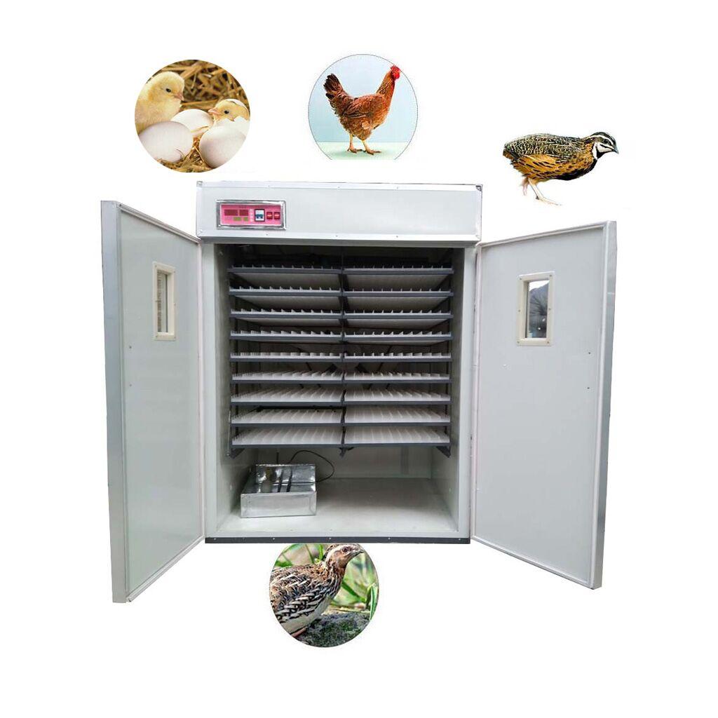 inkubatra ýumurtga goýýas - Aşgabat - img 1