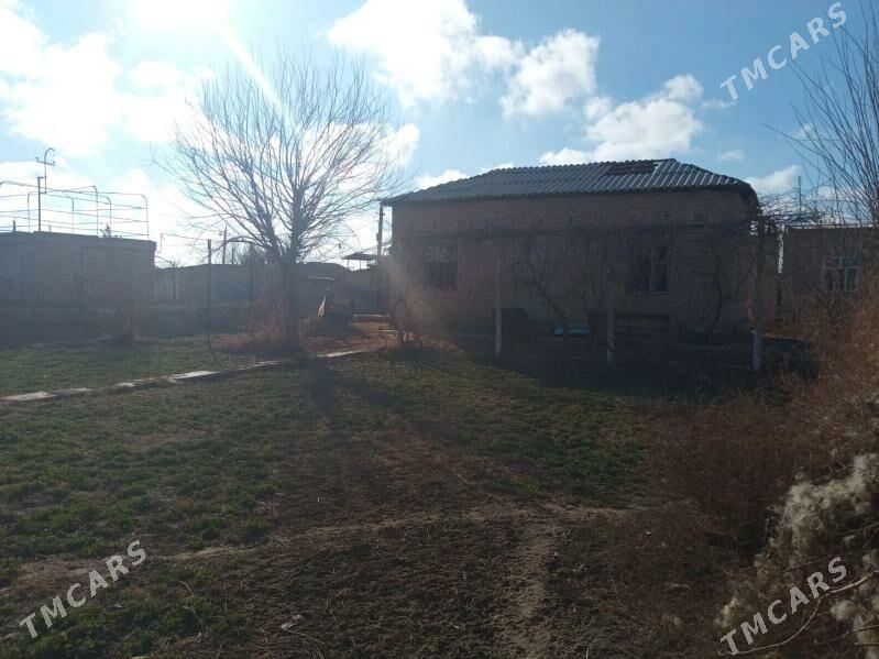 Daca - Türkmenabat - img 1