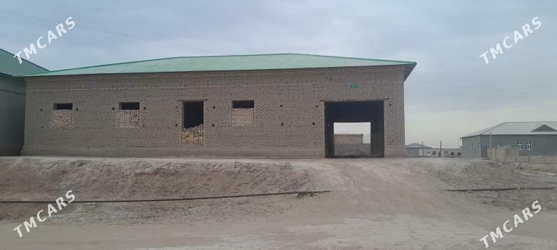 жай дилаварда - Дашогуз - img 1