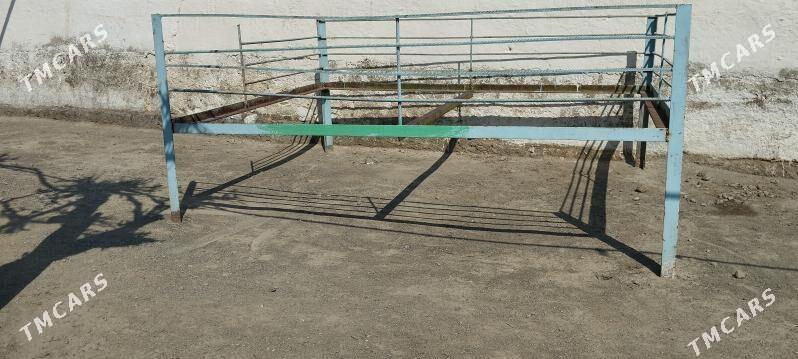 tapjan - Bereket - img 1