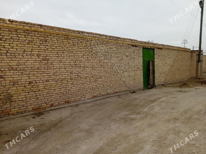 берзен канал дача - Türkmenabat - img 1