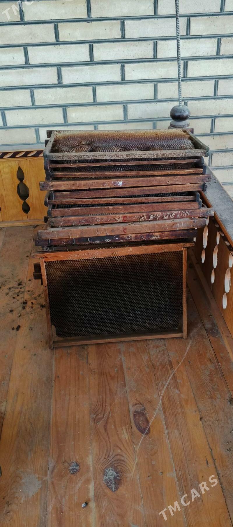 suš ramka - Mary - img 1