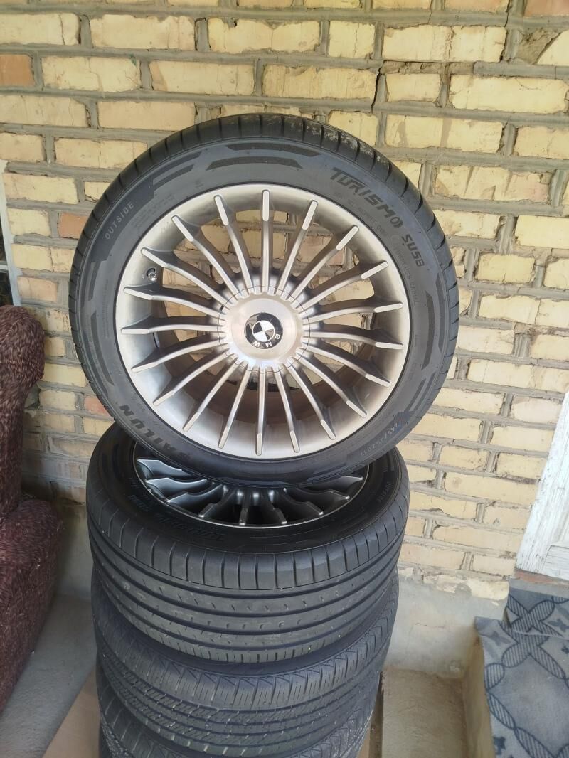 Alpina 5 000 TMT - Mary - img 1