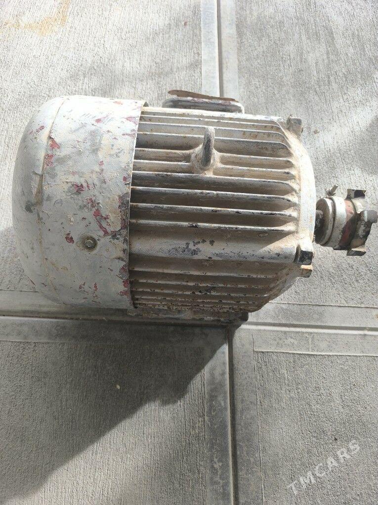 eletra mator - Кака - img 1