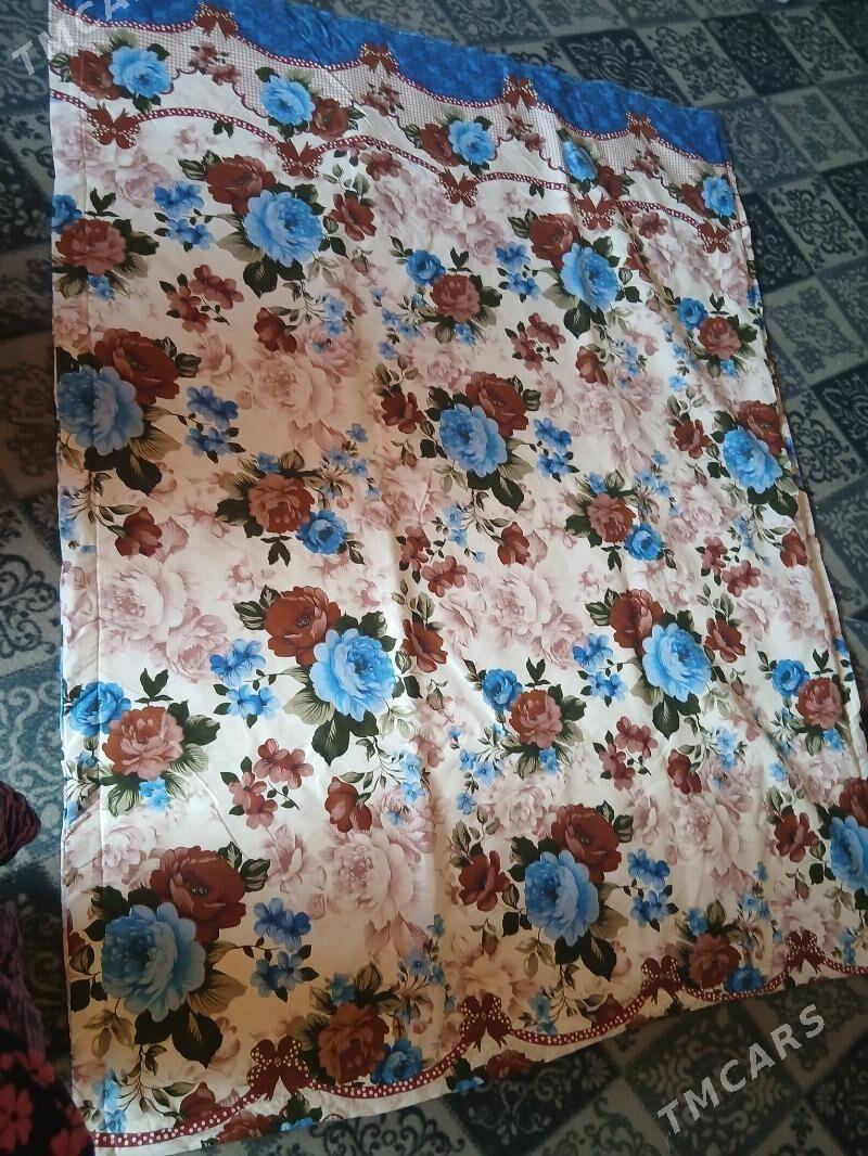 Adyal - Ак-Бугдайский этрап - img 1