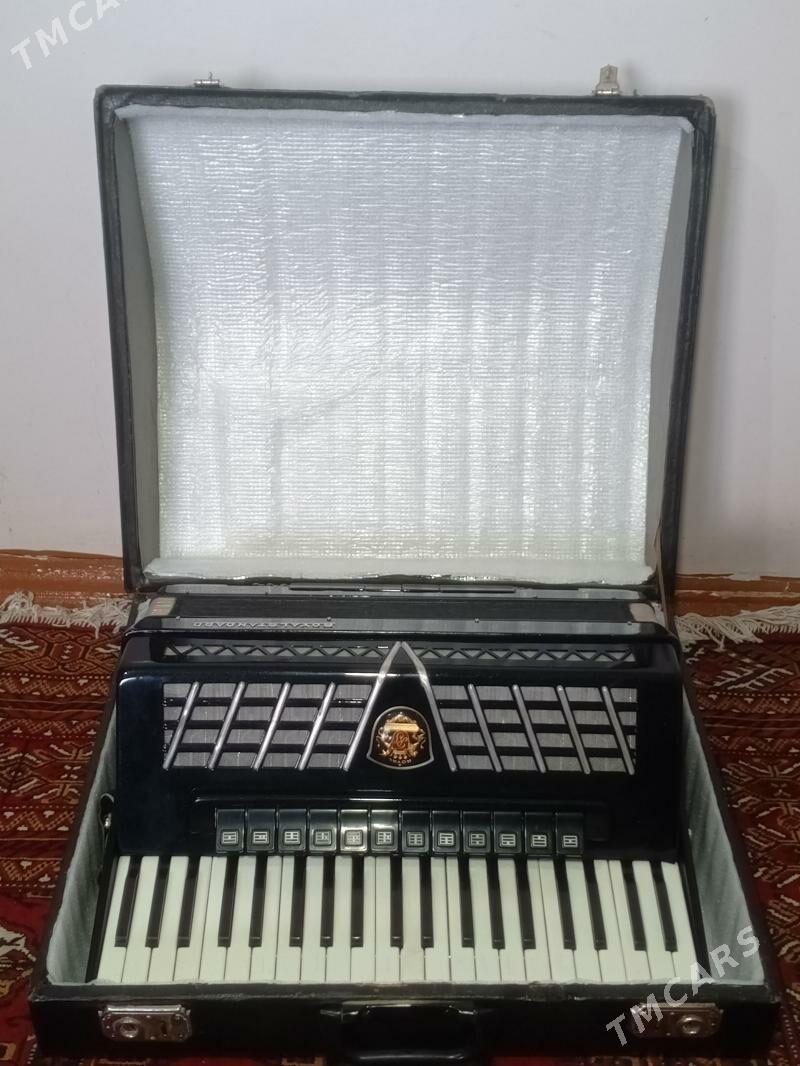 Akardion ROYALSTANDARD - Байрамали - img 1