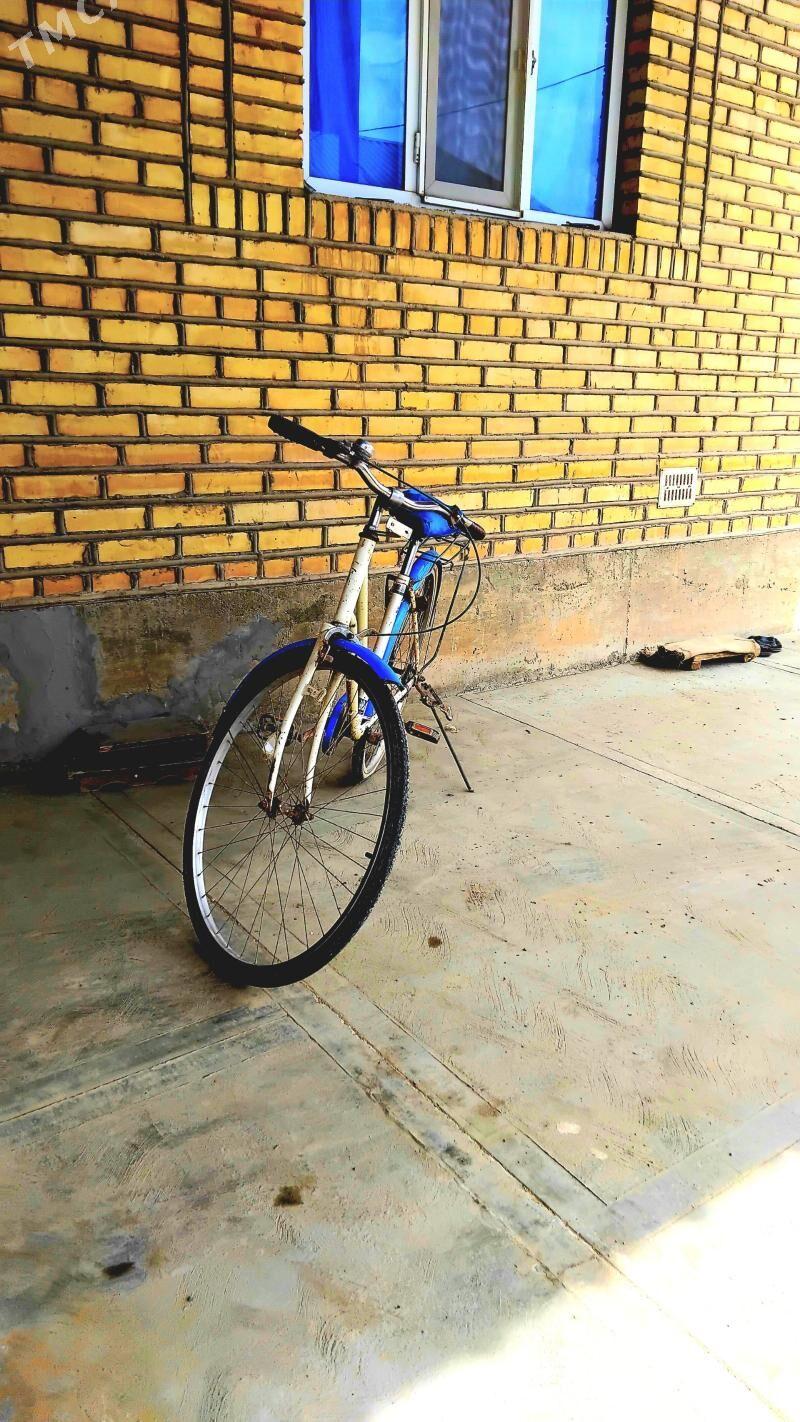 Tiger 27lik - Теджен - img 1