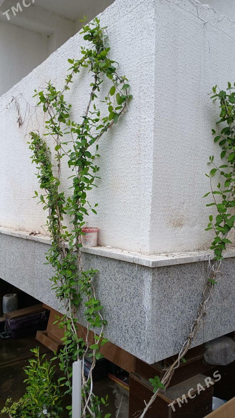 Цветы - Parahat 8 - img 1