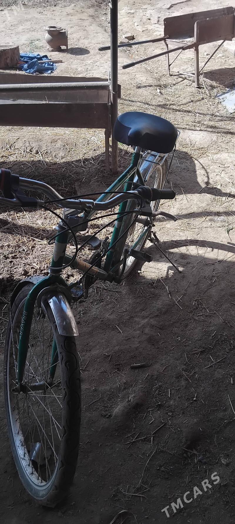 felosioet - Саят - img 1