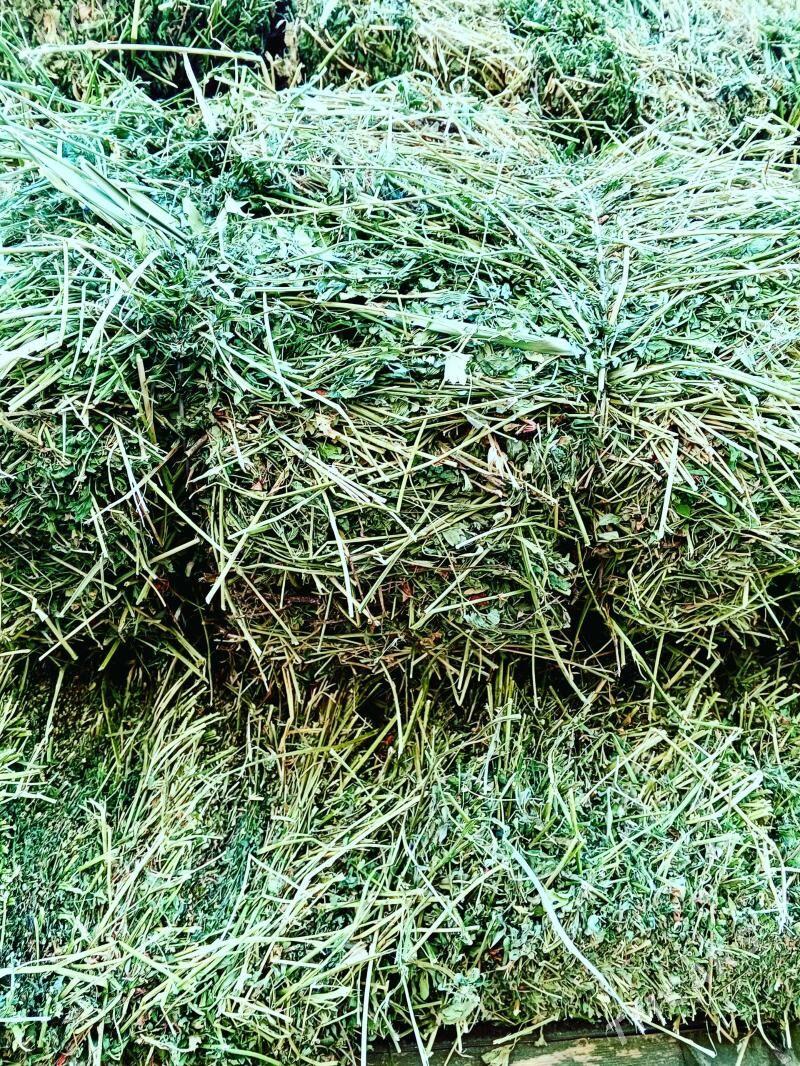 Bede - Aşgabat - img 1