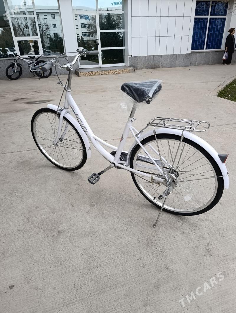  Tigir  - Gagarin köç, köne Howa menzili - img 1