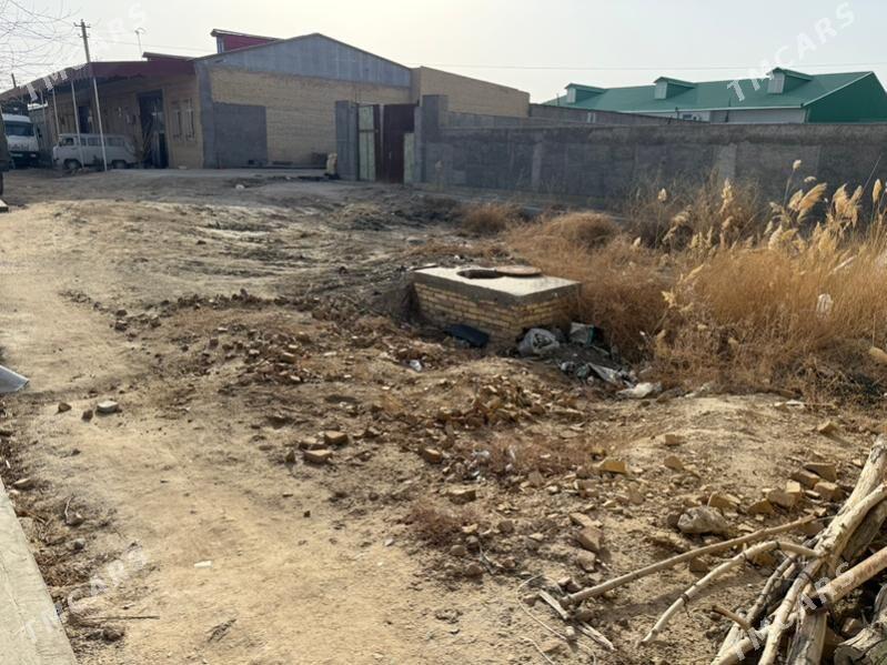 Satlyk Mellek 10- yillyk - Туркменабат - img 1